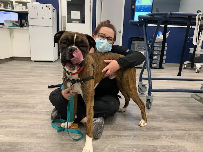 Urgent VET Care Picture 8