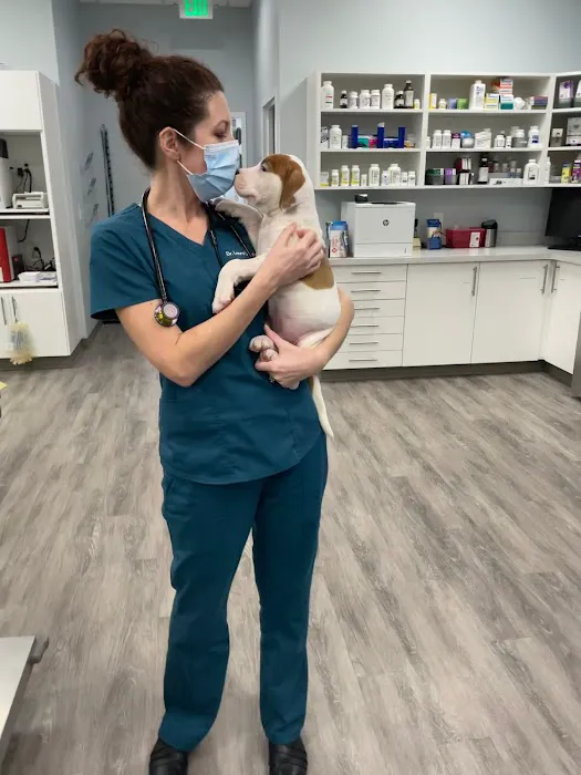 Urgent VET Care Picture 10