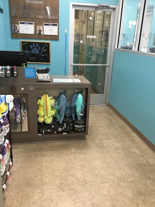 Petco Picture 6