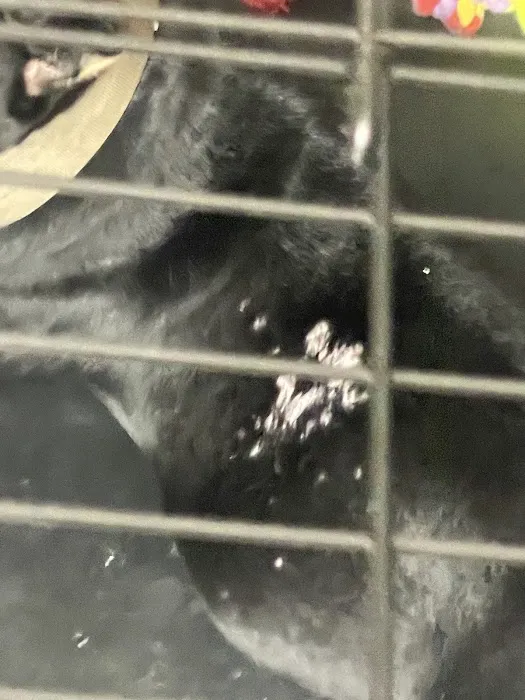 Petco Picture 10