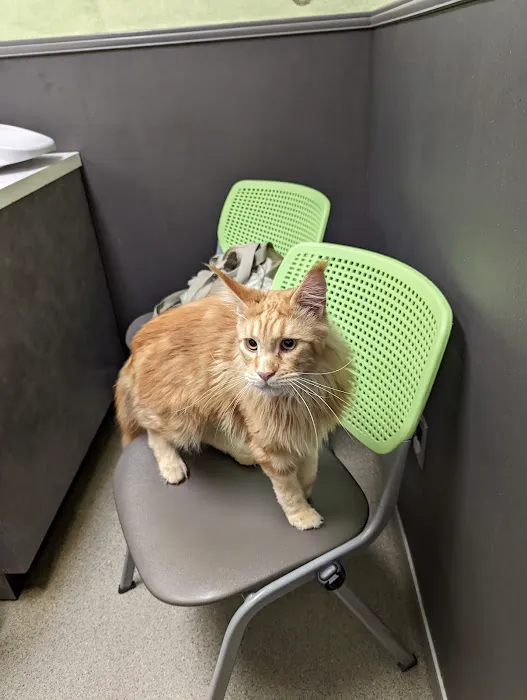 Hunt Valley Animal Hospital Picture 1