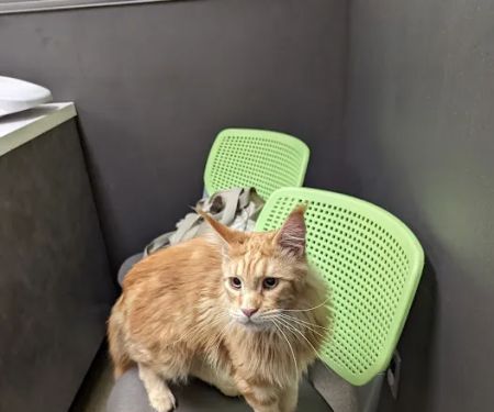 Hunt Valley Animal Hospital