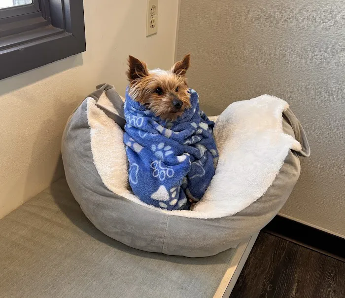 Hunt Valley Animal Hospital Picture 2
