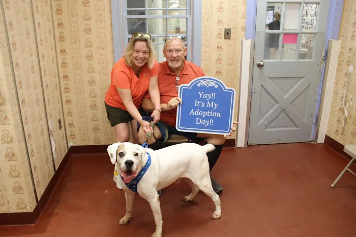 Hunt Valley Animal Hospital Picture 8