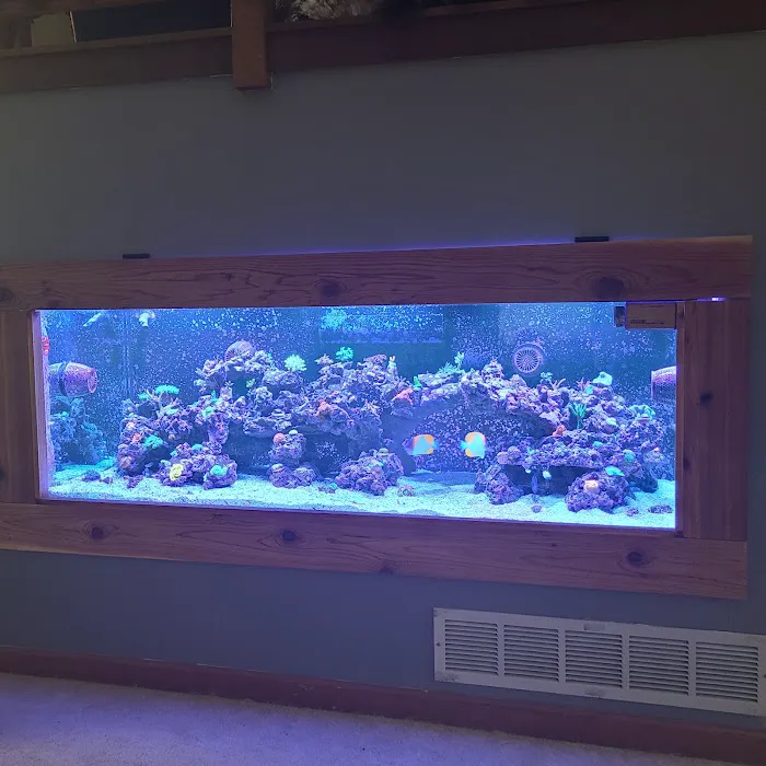 Aquatic Life Designs, LLC Picture 4
