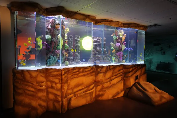 Aquatic Life Designs, LLC Picture 8