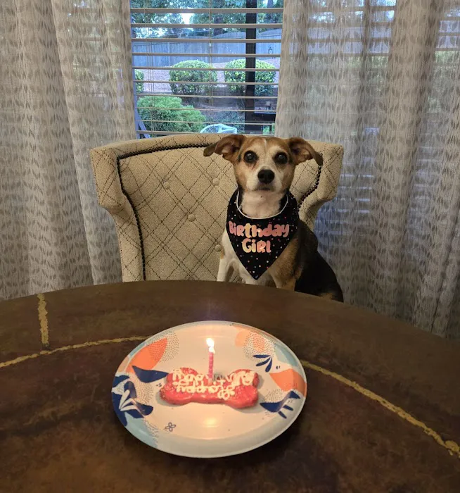 Barking Dog Bakery and Feed Picture 1