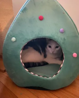 Barkermeow Picture 1