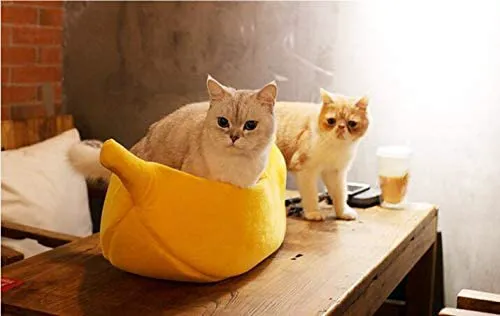 Barkermeow Picture 4