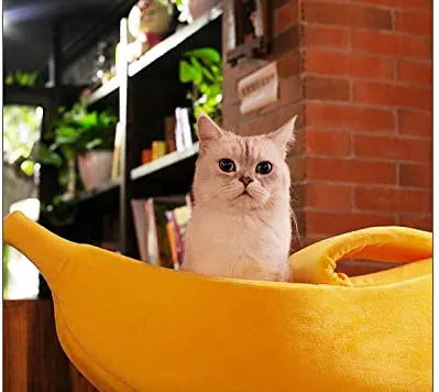 Barkermeow Picture 9