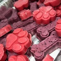 K and C Pet Pastries ico