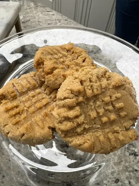 K and C Pet Pastries Picture 3