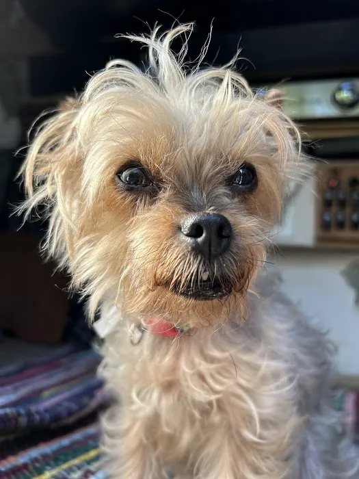 Pet+E.R. Picture 4