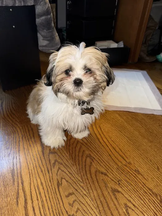 Pet+E.R. Picture 7