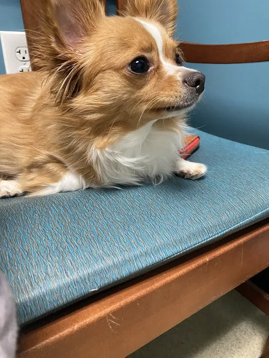 Pet+E.R. Picture 10