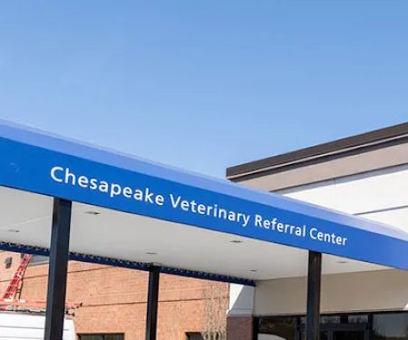 Chesapeake Veterinary Referral Center (CVRC)