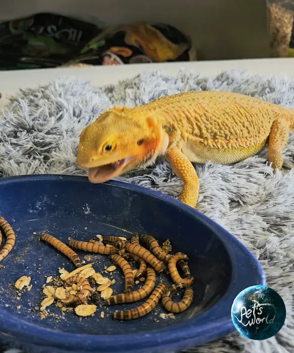 Pet's World Picture 3