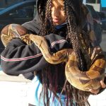 Pet's World