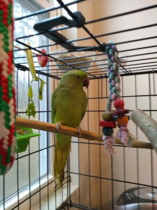 Pet's World Picture 5