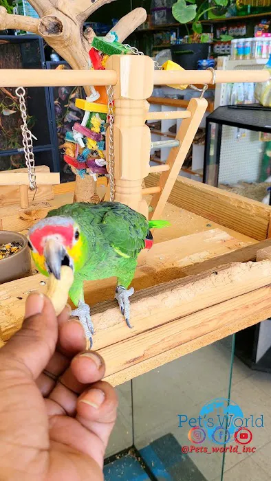 Pet's World Picture 4