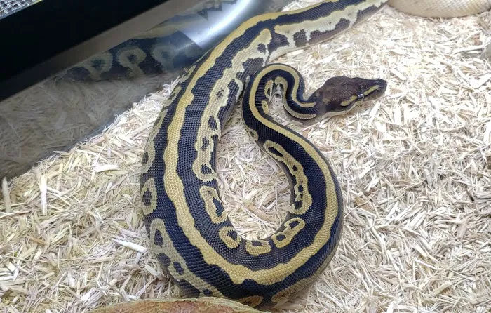 Pet's World Picture 7