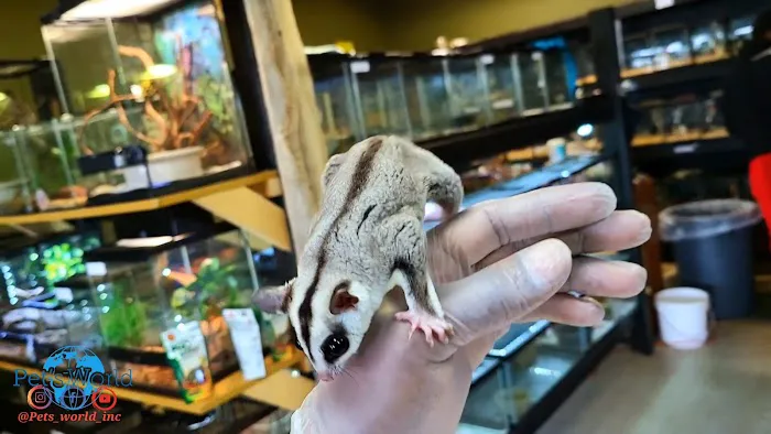 Pet's World Picture 9
