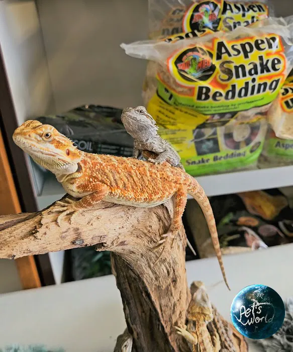 Pet's World Picture 8