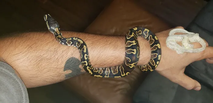 Pet's World Picture 10
