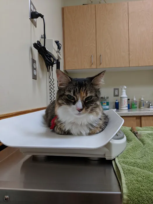 Timonium Animal Hospital Picture 2