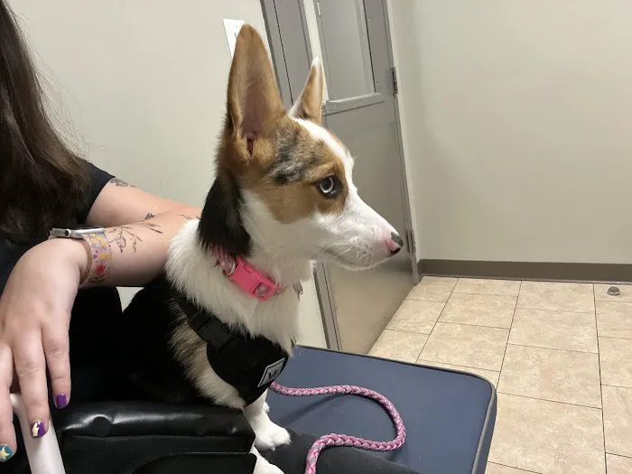 Timonium Animal Hospital Picture 5