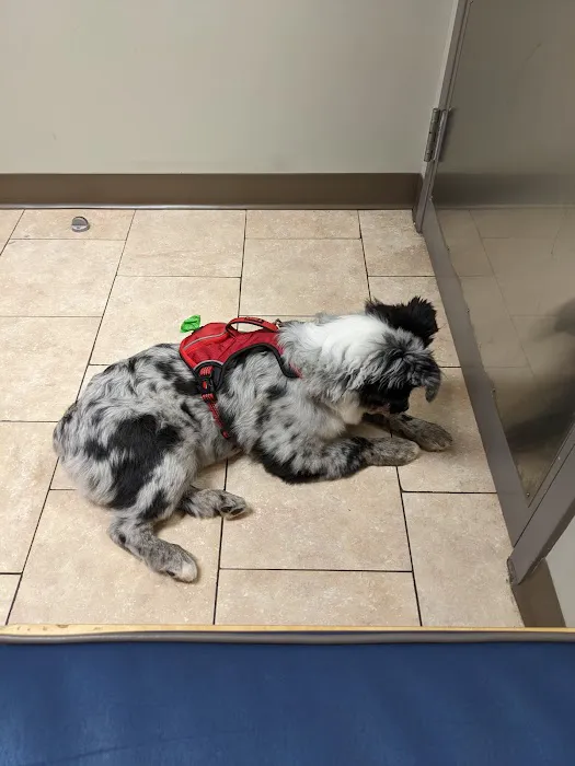 Timonium Animal Hospital Picture 7