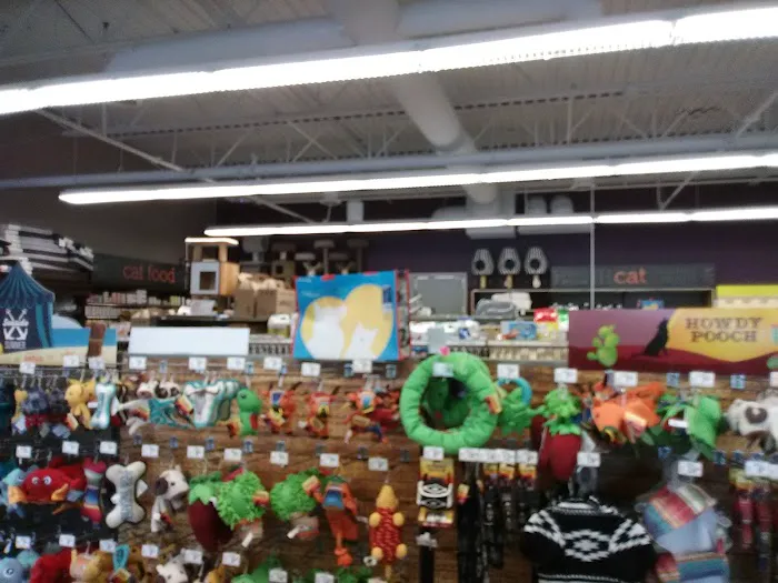 Petco Picture 1