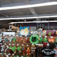 Petco ico