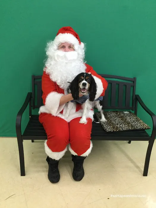 Petco Picture 6