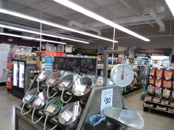 Petco Picture 8