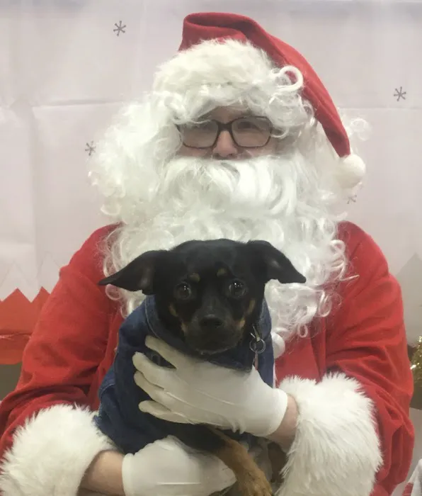 Banfield Pet Hospital Picture 6