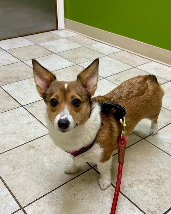 Family Pet Hospital Picture 1