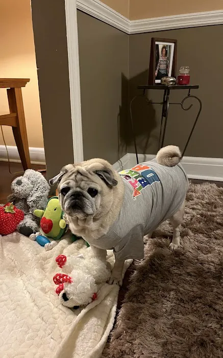 Family Pet Hospital Picture 5
