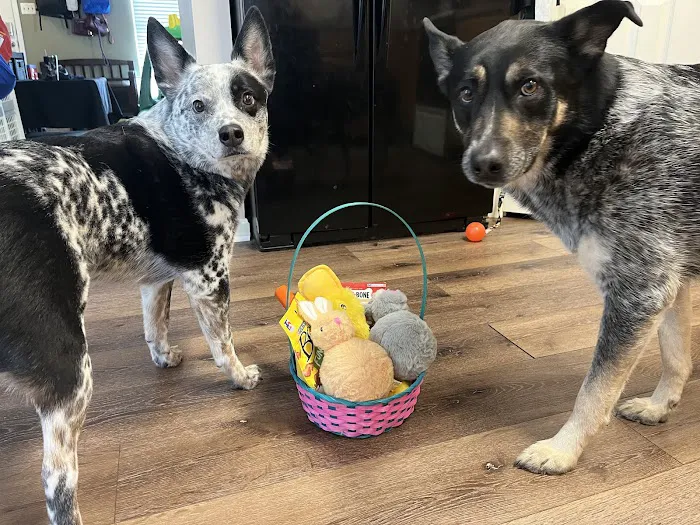 Family Pet Hospital Picture 6