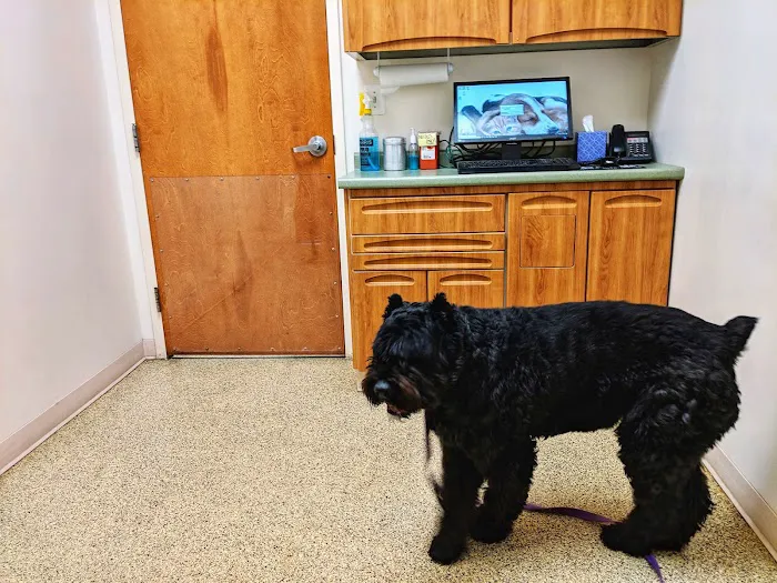 Northwind Animal Hospital Picture 6