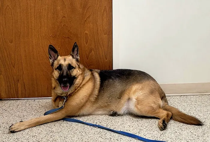 Northwind Animal Hospital Picture 7
