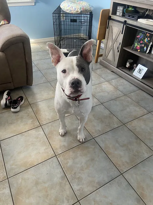 Northwind Animal Hospital Picture 8