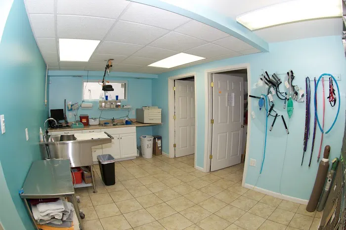 Perry Hall Animal Hospital Picture 2