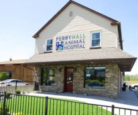 Perry Hall Animal Hospital
