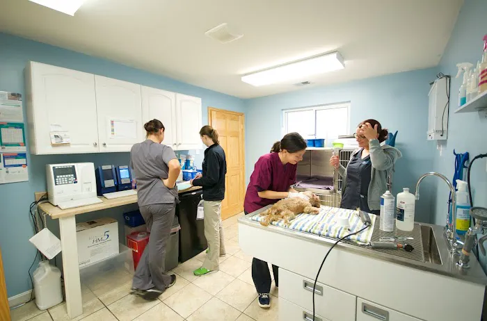 Perry Hall Animal Hospital Picture 9