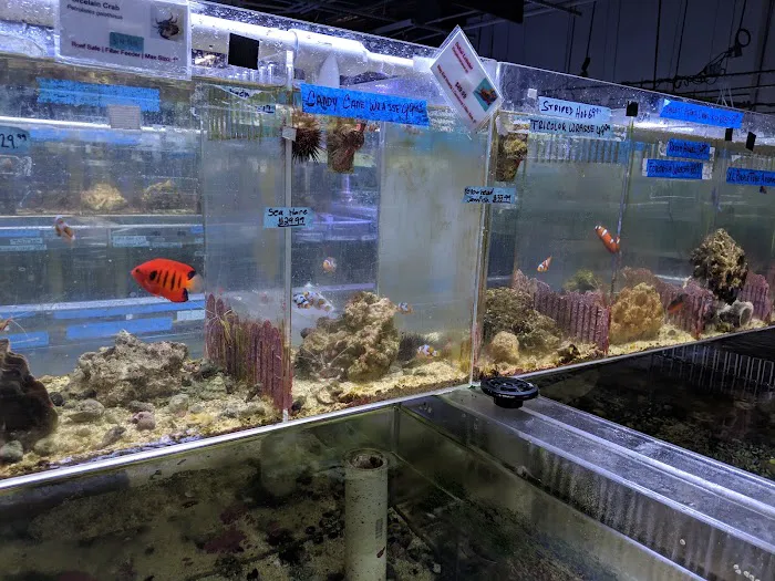 The Fish Store Picture 2