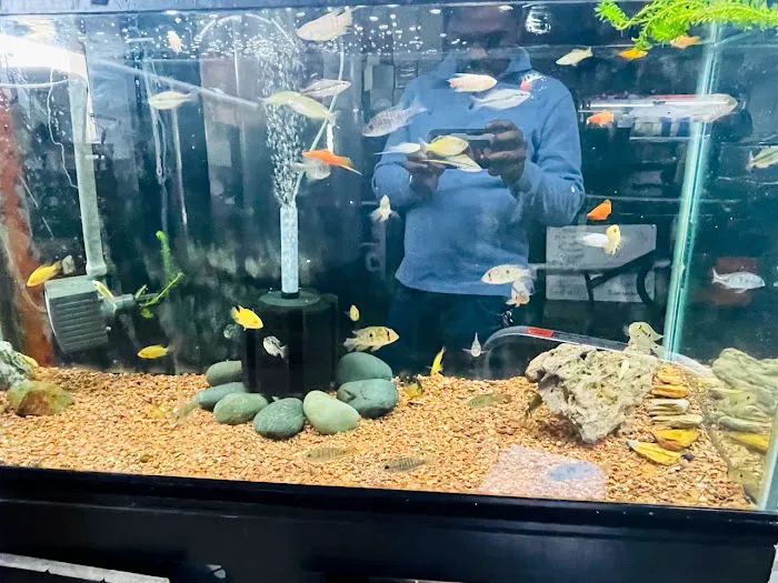 The Fish Store Picture 4