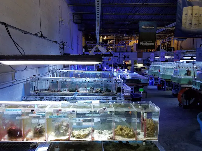 The Fish Store Picture 3