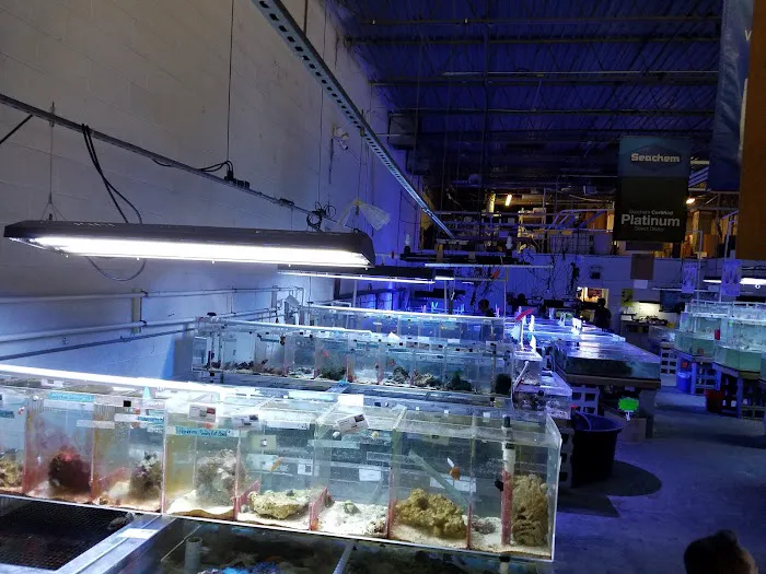 The Fish Store Picture 6