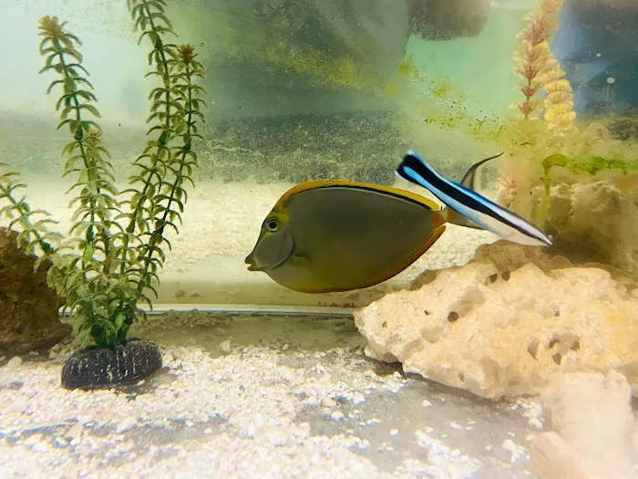 The Fish Store Picture 5